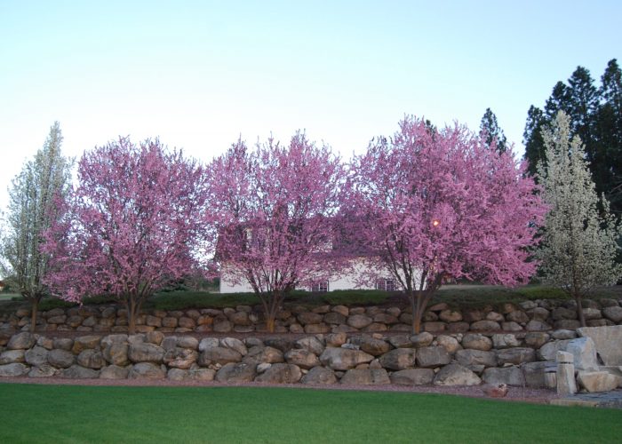 Aged Granite Terraced Wall